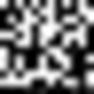 Meet your Posher, Bruce